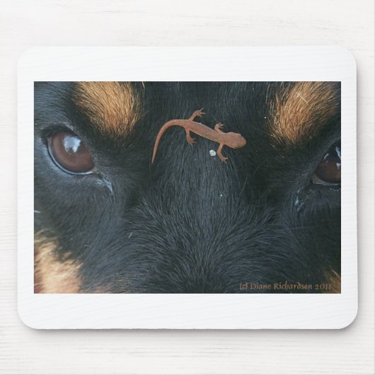 Rottweiler und SalamanderMausunterlage Mousepad (Vorne)