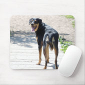 Rottweiler und Schäferhund-Kreuz Mousepad (Mit Mouse)