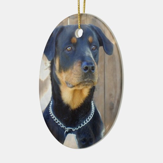 Rottweiler Verzierung Keramikornament (Links)