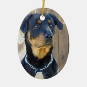 Rottweiler Verzierung Keramikornament