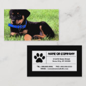 Rottweiler Visitenkarte (Vorne/Hinten)