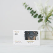 Rottweiler Visitenkarte (Stehend Vorderseite)