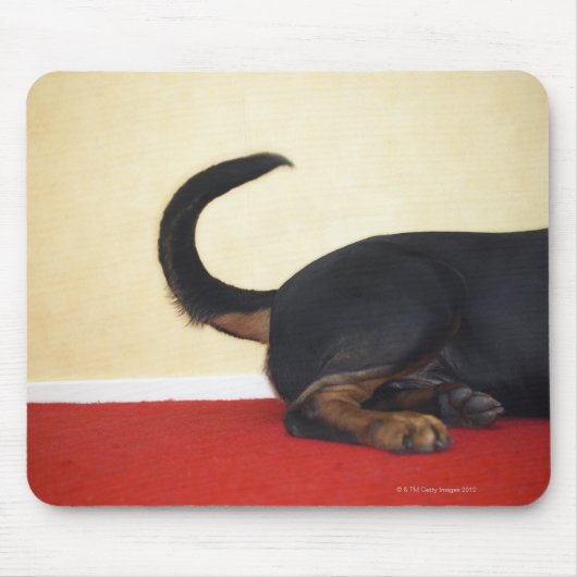 Rottweiler Wagging Schwanz, Hinterteil Mousepad (Vorne)