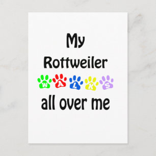 Rottweiler Walks Design Postkarte