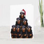 Rottweiler Weihnachten (Vorderseite)