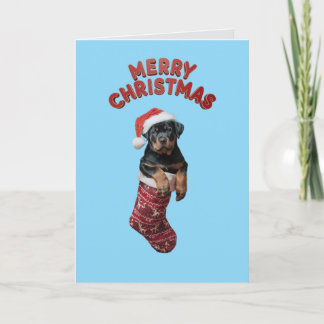 Rottweiler Weihnachtsfest Strumpf. Karte