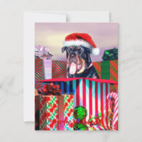 Rottweiler Weihnachtsüberraschung