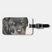 Rottweiler Welpe Gepäckanhänger (Vorderseite horizontal)