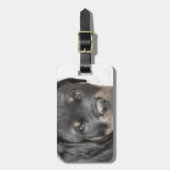 Rottweiler Welpe Gepäckanhänger (Vorderseite vertikal)