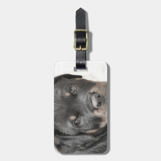 Rottweiler Welpe Gepäckanhänger (Vorderseite vertikal)