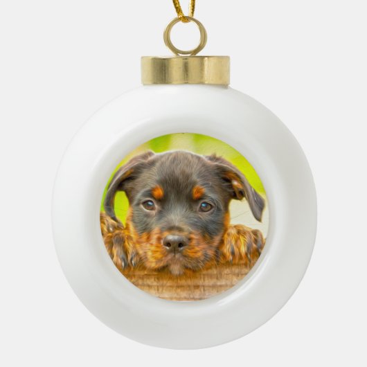 Rottweiler Welpe Hunde Wasser Farbe Öl Farbe Farbe Keramik Kugel-Ornament (Vorderseite)