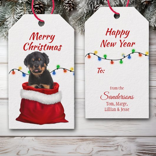 Rottweiler-Welpe in Santa Bag Geschenkanhänger