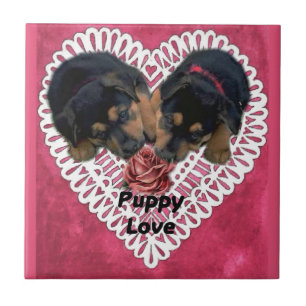 Rottweiler Welpe Liebe Valentines Fliese