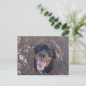 Rottweiler Welpe mit Big Smile Postkarte (Stehend Vorderseite)