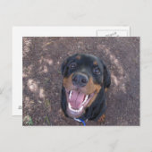 Rottweiler Welpe mit Big Smile Postkarte (Vorne/Hinten)