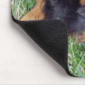 Rottweiler-Welpe. Mousepad (Ecke)