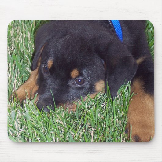 Rottweiler-Welpe. Mousepad (Vorne)