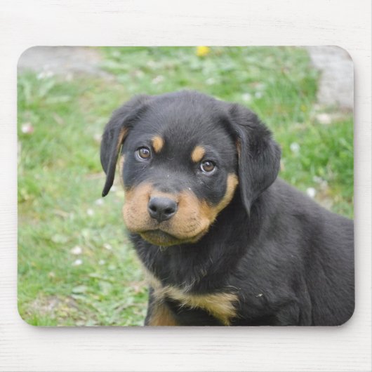 Rottweiler Welpe Mousepad (Vorne)