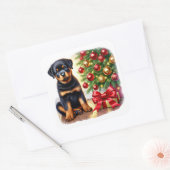 Rottweiler Welpe neben einem Weihnachtsbaum Quadratischer Aufkleber (Umschlag)