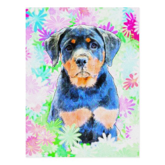 Rottweiler Welpe Postkarte