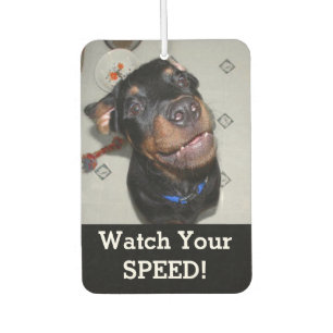 Rottweiler Welpe riecht Doughnut Air Freshener Autolufterfrischer
