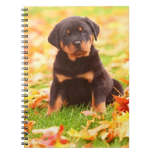 Rottweiler Welpe sitzt im Herbst Leaves Notizblock (Vorderseite)