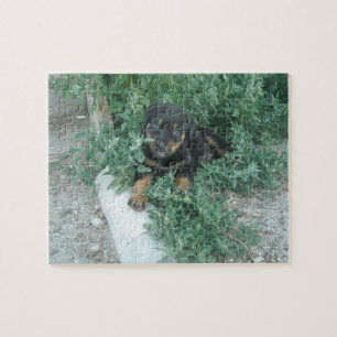 Rottweiler-Welpen-Foto Puzzle