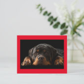 Rottweiler Welpen Hund Grußkarte - Leere Postkarte (Stehend Vorderseite)