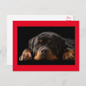 Rottweiler Welpen Hund Grußkarte - Leere Postkarte (Vorne/Hinten)