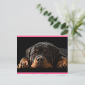 Rottweiler Welpen Hund Grußkarte - Leere Postkarte (Stehend Vorderseite)