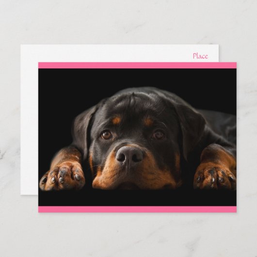 Rottweiler Welpen Hund Grußkarte - Leere Postkarte (Vorne/Hinten)