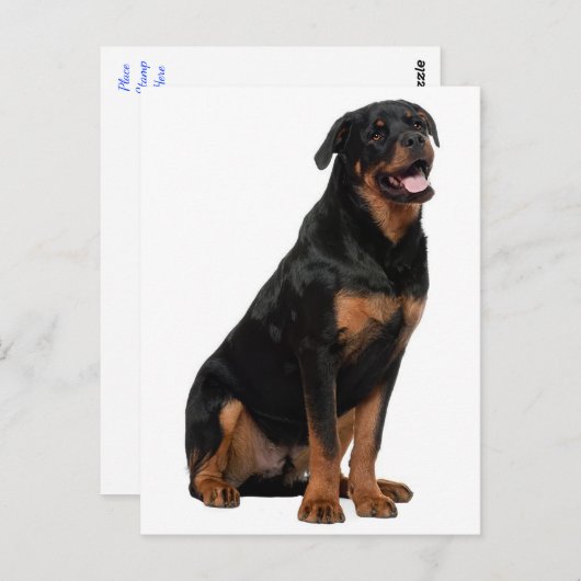 Rottweiler Welpen Hund - Hallo, Denken Sie an Sie, Postkarte (Vorne/Hinten)