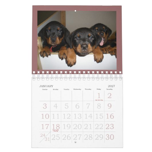 Rottweiler Welpen-Kalender Kalender (Jan 2027)