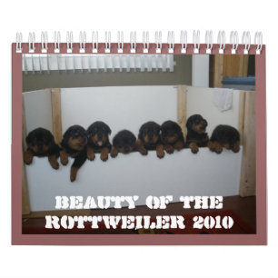 Rottweiler Welpen-Kalender Kalender