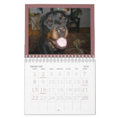 Rottweiler Welpen-Kalender Kalender (Feb 2026)