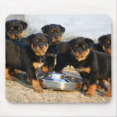 rottweiler Welpen Mousepad (Vorne)