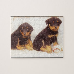 Rottweiler-Welpen Puzzle
