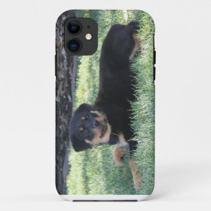 Rottweiler Welpen-Telefonkasten iPhone 11 Hülle