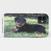 Rottweiler Welpen-Telefonkasten Case-Mate iPhone Hülle (Rückseite (Horizontal))