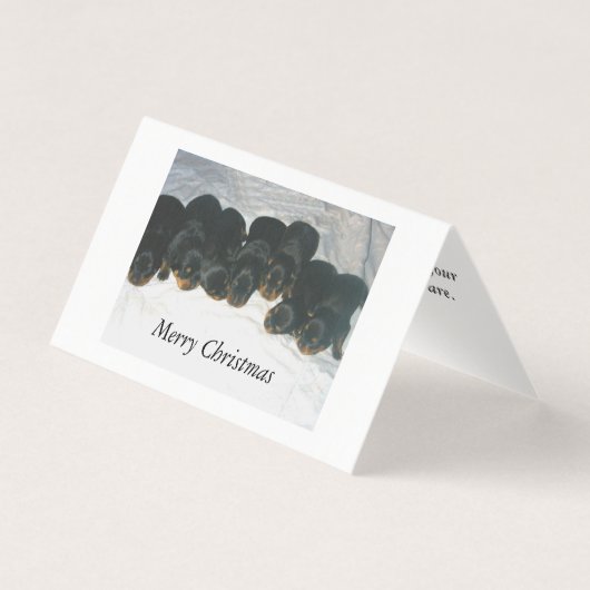 Rottweiler Welpen Weihnachtskarte (Vorderseite)