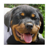 Rottweiler Welpengesicht Hund Niedlich Fliese (Vorderseite)