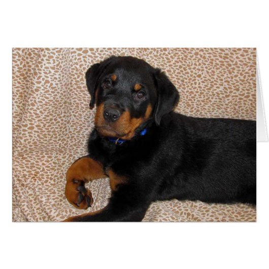 Rottweiler-Welpengrüßkarte (Vorderseite (Horizontal))