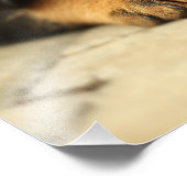 Rottweiler Welpenhund, der das Leben liebt Fotodruck (Ecke)