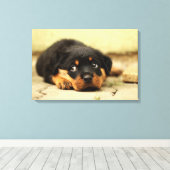 Rottweiler Welpenhund, der das Leben liebt Leinwanddruck (Insitu (Holzboden))