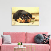 Rottweiler Welpenhund, der das Leben liebt Leinwanddruck (Insitu (Wohnzimmer))