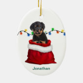 Rottweiler Welpenhund in Holiday Gift Bag Keramik Ornament (Hinten)