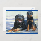 Rottweiler Welpenhund Leere Postkarte (Vorne/Hinten)