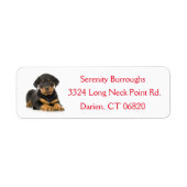 Rottweiler Welpenhund Red Canine Address Label (Vorne)