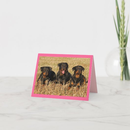 Rottweiler Welpenhund Rosa Blanke Notizkarte Karte (Vorderseite)