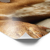 Rottweiler Welpenhund sehnt sich Fotodruck (Ecke)